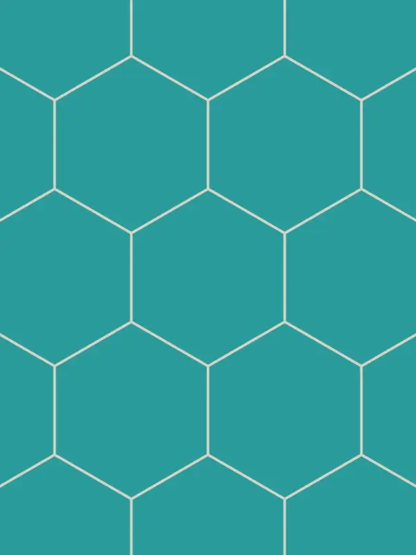 Zellige hexagonal 10 cm, caja de 50 — Barro cocido esmaltado, Fez